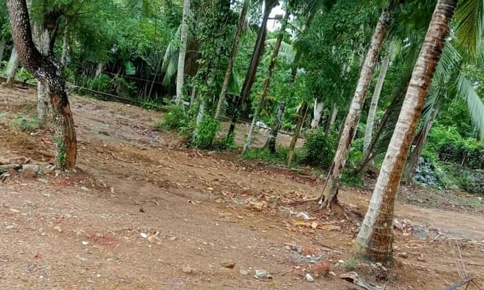 Land for sale at Horana